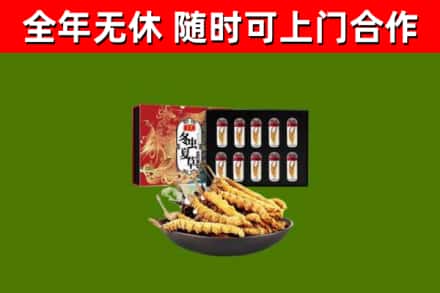 长葛回收冬虫夏草价格